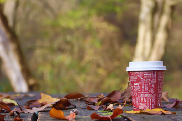 Coffee to take away, enjoying in nature, autumn time