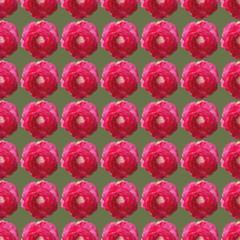 Colorful flower seamless pattern print background design