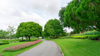 Jogging track in garden of public park among greenery trees, flower shrub and bush, black asfalt...