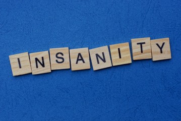 word insanity made from gray wooden letters lies on a blue background