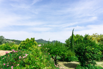 Fototapeta na wymiar Small wave of beautiful white fluffy clouds on vivid blue sky in a summer time above mountain and green trees in Vacqueyras village of wine, southeastern France