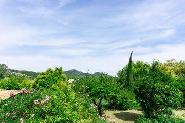 Small wave of beautiful white fluffy clouds on vivid blue sky in a summer time above mountain and green trees in Vacqueyras village of wine, southeastern France