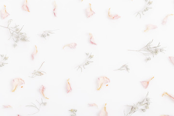 Pattern with dry pink rose petals and wormwood sprigs on a white background. Light romantic composition