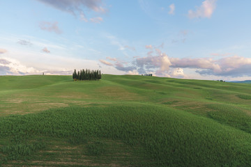 Fototapeta na wymiar Beautiful countryside landscapes in Tuscany with rolling hills during the sunset