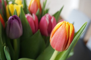 Fototapeta premium Bouquet of red and yellow tulips