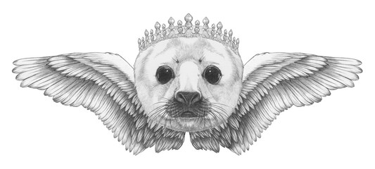 Portrait of Baby Fur Seal with wings. Hand drawn illustration. 