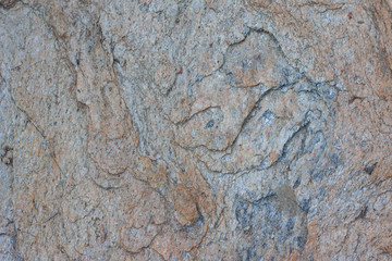 The surface of the stone on the seashore being scour to sea water for a long time for backgrounds and textures.