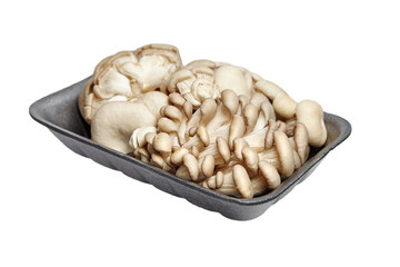 Oyster mushrooms in grey tray isolated on white background. Uncooked edible mushrooms
