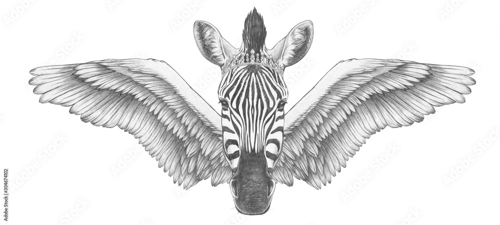 Wall mural portrait of zebra with wings. hand drawn illustration.