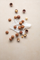 Fresh macadamia nuts on stone background and copy space
