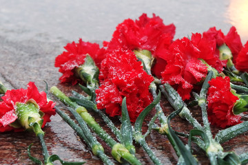 Red carnation flowers with snow on it lie on a stone granite slab with copy space in Victory Park. Blurred background in honor of the memory of the victims