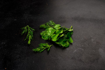 Fototapeta na wymiar Fresh and dill, green parsley shot on a black background