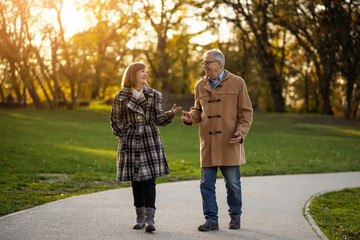 Fototapeta premium Happy senior couple is walking in park in autumn.