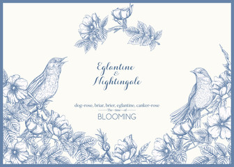 Dog-rose, briar, brier, eglantine, canker-rose and nightingale. Template for wedding invitation, greeting card, gift voucher. Graphic drawing, engraving style. Vector illustration in blue and white.
