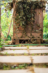 Compost bin made of pallets filled with leafs.