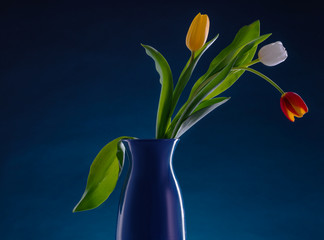 Bouquet of colorful tulips on blue background
