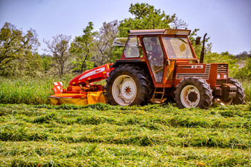 Tractor especial cortando la hierba en el campo