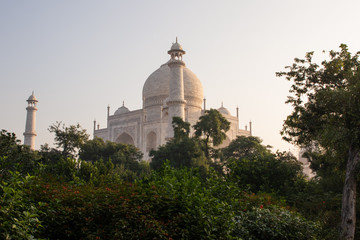 Fototapeta na wymiar Taj Mahal garden view sunrise (india)
