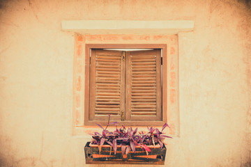 Colorful flowers adorn potted