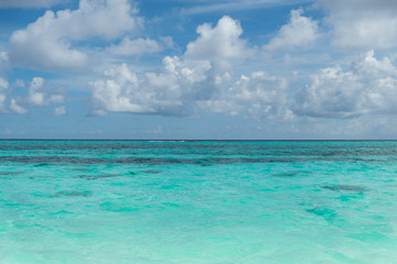 Separate view of a tropical island with turquoise sea, coconut palm trees and blue sky in the Maldives. Indian Ocean Sunset