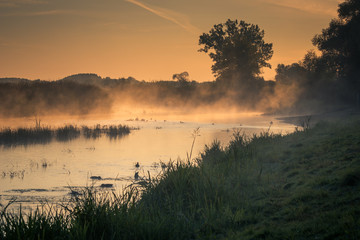Biebrza River on a foggy morning, Goniadz, Podlaskie, Poland