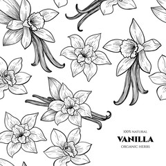 Vector frame with vanilla flowers and pods. Hand drawn. Vintage style