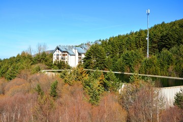 a house in the middle of the forest with swimming pool
