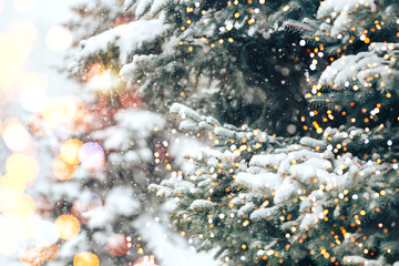 Christmas tree outdoor with snow, lights bokeh around, and snow falling, Christmas atmosphere.