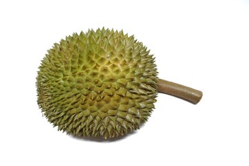 Top view of durian fruit isolated on white background, Tropical fruit, copy space (Malvaceae, Durio, Bombacaceae, Phuang Mani)