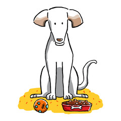 Perro feliz con comida y pelota