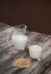 Vegetarian pine nut milk in a glass cup and jug on wooden background.