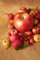 Autumn background on selective focus. Ornamental red and yellow apples with autumnal leaves. 