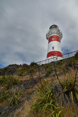 cape pallister lighthouse new zealand