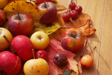 Autumn background on selective focus. Ornamental small red and yellow apples on wooden table