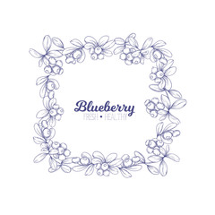 Blueberry. Element for design. Good for product label. Graphic drawing, engraving style. Colored vector illustration