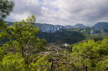 Mountain vegetation on the Mediterranean coast