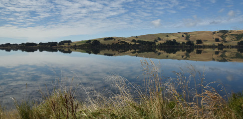 reflections in lake caitlin new zealand