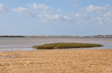 Tavira-Ostalgarve