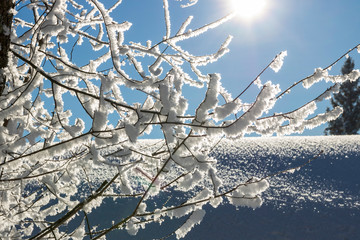 Beautiful Winter Landscape view of hiking footprints in snow. Austria