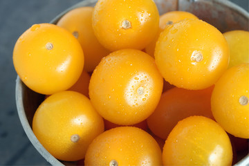 Sweet yellow tomatoes variety Sun Baby