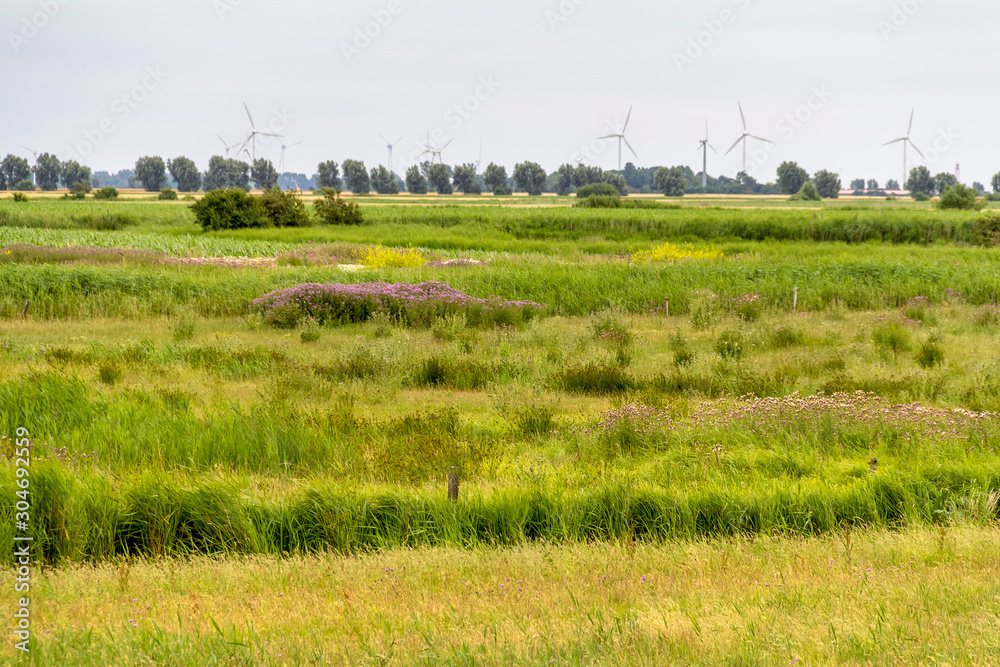 Wall mural Landscape in East Frisia