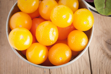 Sweet yellow tomatoes variety Sun Baby