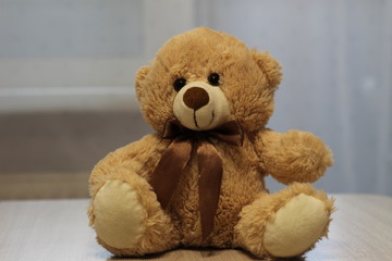 soft, plush, brown bear on a light background