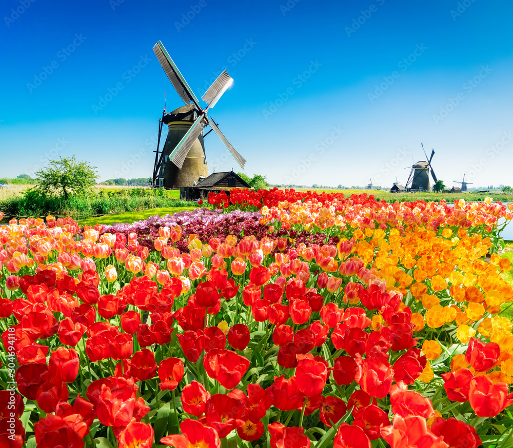 Canvas Prints dutch windmill over river waters