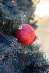 Close-up of a Christmas tree with sparkling red bauble and yellow lights. Selective focus.