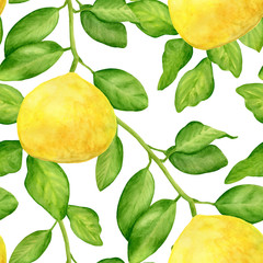 Watercolor lemon with branch and leaves seamless pattern. Hand drawn plants isolated on white background. Botanical illustration for design and decoration, cards, wrapping, textile