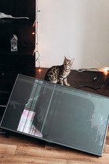 Fototapety na wymiar - Fototapeta24.pl