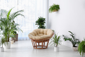 Stylish room interior with beautiful plants. Home design idea
