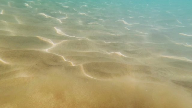 sand muddle turbulence in water on sea bottom, underwater background