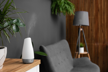 Plant and oil diffuser on cabinet indoors. Home design idea